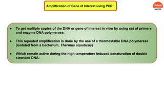 Amplification of Gene of Interest using PCR
● To get multiple copies of the DNA or gene of interest in vitro by using set of primers
and enzyme DNA polymerase.
● This repeated amplification is done by the use of a thermostable DNA polymerase
(isolated from a bacterium, Thermus aquaticus)
● Which remain active during the high temperature induced denaturation of double
stranded DNA.
 