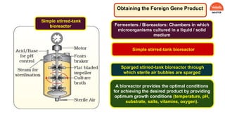 Obtaining the Foreign Gene Product
Fermenters / Bioreactors: Chambers in which
microorganisms cultured in a liquid / solid
medium
Sparged stirred-tank bioreactor through
which sterile air bubbles are sparged
Simple stirred-tank bioreactor
A bioreactor provides the optimal conditions
for achieving the desired product by providing
optimum growth conditions (temperature, pH,
substrate, salts, vitamins, oxygen).
Simple stirred-tank
bioreactor
 