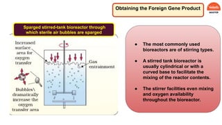 Obtaining the Foreign Gene Product
Sparged stirred-tank bioreactor through
which sterile air bubbles are sparged
● The most commonly used
bioreactors are of stirring types.
● A stirred tank bioreactor is
usually cylindrical or with a
curved base to facilitate the
mixing of the reactor contents.
● The stirrer facilities even mixing
and oxygen availability
throughout the bioreactor.
 