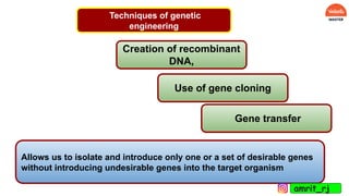 Techniques of genetic
engineering
Allows us to isolate and introduce only one or a set of desirable genes
without introducing undesirable genes into the target organism
Creation of recombinant
DNA,
Use of gene cloning
Gene transfer
amrit_rj
 