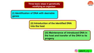 Three basic steps in genetically
modifying an organism
(i) Identification of DNA with desirable
genes
(ii) Introduction of the identified DNA
into the host
(iii) Maintenance of introduced DNA in
the host and transfer of the DNA to its
progeny
amrit_rj
 