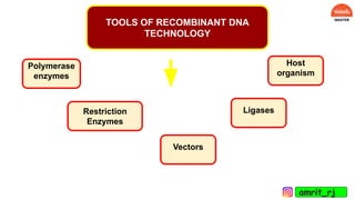 TOOLS OF RECOMBINANT DNA
TECHNOLOGY
Restriction
Enzymes
Host
organism
Vectors
Ligases
Polymerase
enzymes
amrit_rj
 