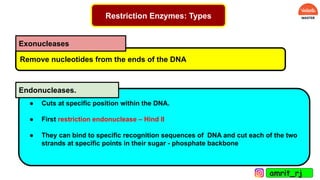 Restriction Enzymes: Types
Remove nucleotides from the ends of the DNA
● Cuts at specific position within the DNA.
● First restriction endonuclease – Hind II
● They can bind to specific recognition sequences of DNA and cut each of the two
strands at specific points in their sugar - phosphate backbone
Exonucleases
Endonucleases.
amrit_rj
 