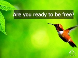 Are you ready to be free?
 