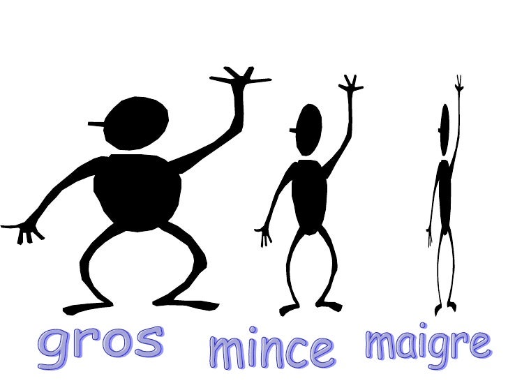 Résultat de recherche d'images pour "gros ou maigre"