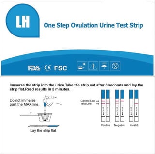 One Step LH Ovulation Test Strips 
