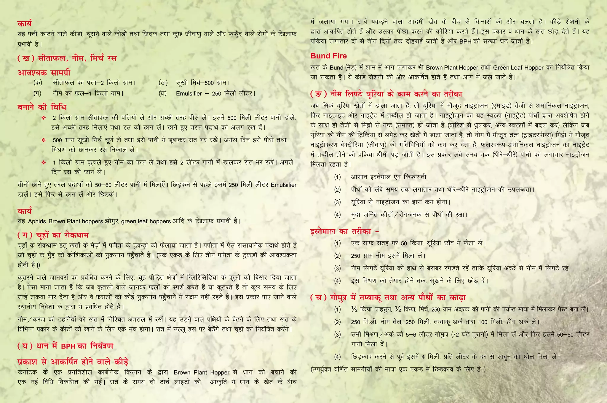 dk;Z                                                                                                                           esa tyk;k x;kA VkpZ idM+us okyk vkneh [ksr ds chp ls fdukjksa dh vksj pyrk gSA dhM+s jks”kuh ds
;g iÙkh dkVus okys dhM+ksa] pwlus okys dhM+ksa rFkk fNnzd rFkk dqN thok.kq okys vkSj QQ¡wn okys jksxksa ds f[kykQ              }kjk vkdf’kZr gksrs gSa vkSj mldk ihNk djus dh dksf”k”k djrs gSaA bl izdkj os /kku ds [ksr NksM+ nsrs gSaA ;g
izHkkoh gSA                                                                                                                    izfØ;k yxkrkj nks ls rhu fnuksa rd nksgjkbZ tkrh gS vkSj BPH dh la[;k ?kV tkrh gSA

([k) lhrkiQy] uhe] fepZ jl                                                                                                     Bund Fire
                                                                                                                               [ksr ds Bund ¼esM+½ esa “kke esa vkx yxkdj Hkh Brown Plant Hopper rFkk Green Leaf Hopper dks fu;af=r fd;k
vko';d lkexzh                                                                                                                  tk ldrk gSA ;s dhM+s jks”kuh dh vksj vkdf’kZr gksrs gSa rFkk vkx esa ty tkrs gSaA
	      ¼d½	 lhrkQy dk iÙkk&2 fdyks xzkeA		                    ¼[k½	 lw[kh fepZ&500 xzkeA
	      ¼x½	 uhe dk Qy&1 fdyks xzkeA		                         ¼?k½	 Emulsifier & 250 feyh yhVjA                                (Ä) uhe fyiVs ;wfj;k ds dke djus dk rjhdk
cukus dh fof/                                                                                                                  tc flQZ ;wfj;k [ksrksa esa Mkyk tkrk gS] rks ;wfj;k esa ekStwn ukbVªkstu ¼,ekbM½ rsth ls veksfudy ukbVªkstu]
             	2 fdyks xzke lhrkQy dh ifÙk;k¡ ysa vkSj vPNh rjg ihl ysaA blesa 500 feyh yhVj ikuh Mkysa]                       fQj ukbVªkbV vkSj ukbVªsV esa rCnhy gks tkrk gSA ukbVªkstu dk ;g Lo:i ¼ukbVªsV½ ikS/kksa }kjk vo'ksf"kr gksus
              bls vPNh rjg feyk,¡ rFkk jl dks Nku ysaA Nkus gq, rjy inkFkZ dks vyx j[k nsaA                                    ds lkFk gh rsth ls feêh ls u"V ¼lekIr½ gks tkrk gS ¼ckfj'k ls /kqydj] vU; Lo:iksa esa cny dj½ ysfdu tc
                                                                                                                               ;wfj;k dks uhe dh fVfd;k ls yisV dj [ksrksa esa Mkyk tkrk gS] rks uhe esa ekStwn rRo ¼VªkbVjihUl½ feêh esa ekStwn
             	500 xzke lw[kh fepZ pw.kZ ysa rFkk bls ikuh esa Mwckdj jkr Hkj j[ksaA vxys fnu bls ihlsa rFkk
                                                                                                                               ukbVªhdj.k cSDVhfj;k ¼thok.kq½ dh xfrfofèk;ksa dks de dj nsrk gS] QyLo:i veksfudy ukbVªkstu dk ukbVªsV
              feJ.k dks Nkudj jl fudky ysaA
                                                                                                                               esa rCnhy gksus dh izfØ;k /kheh iM+ tkrh gSA bl izdkj yacs le; rd ¼/khjs&/khjs½ ikS/kks dks yxkrkj ukbVªkstu
             	1 fdyks xzke dqpys gq, uhe dk Qy ysa rFkk bls 2 yhVj ikuh esa Mkydj jkr Hkj j[ksaA vxys                         feyrk jgrk gSA
              fnu jl dks Nku ysaA
                                                                                                                                        ¼1½	 vklku bLrseky ,oa fdQk;rh
rhuksa Nkus gq, rjy inkFkksZa dks 50&60 yhVj ikuh esa feyk,¡A fNM+dus ls igys blesa 250 feyh yhVj               Emulsifier
                                                                                                                                        ¼2½	 ikS/kksa dks yacs le; rd yxkrkj rFkk /khjs&/khjs ukbVªkstu dh miyC/krkA
MkyasA bls fQj ls Nku ysa vkSj fNM+dsaA
                                                                                                                                        ¼3½	 ;wfj;k ls ukbVªkstu dk gzkl de gksukA
dk;Z                                                                                                                                    ¼4½	 e`nk tfur dhVksa@jksxtud ls ikS/kksa dh j{kkA
;g   Aphids, Brown Plant hoppers >haxqj] green leaf hoppers vkfn           ds f[kykQ izHkkoh gSA
(x) pwgksa dk jksdFkke                                                                                                         bLrseky dk rjhdk &
pwgksa ds jksdFkke gsrq [ksrksa ds es<+ksa esa iihrk ds VqdM+ks dks QSyk;k tkrk gSA iihrk esa ,sls jklk;fud inkFkZ gksrs gSa            ¼1½	 ,d lkQ lrg ij 50 fdxzk- ;wfj;k Nk¡o esa QSyk ysaA
tks pwgksa ds eq¡g dh dksf'kdkvksa dks uqdlku igq¡pkrs gSaA ¼,d ,dM+ ds fy, rhu iihrk ds VqdM+ksa dh vko';drk                           ¼2½	 250 xzke uhe blesa feyk ysaA
gksrh gSA½                                                                                                                              ¼3½	 uhe fyiVs ;wfj;k dks gkFk ls cjkcj jxM+rs jgsa rkfd ;wfj;k vPNs ls uhe esas fyiVs jgsA
dqrjus okys tkuojksa dks izcaf/kr djus ds fy,] pwgs ihfM+r {ks=ksa esa fXyfjflfM;k ds Qwyksa dks fc[ksj fn;k tkrk                       ¼4½	 bl feJ.k dks rS;kj gksus rd] lw[kus ds fy, NksM+ nsaA
gSA ,slk ekuk tkrk gS fd tc dqrjus okys tkuoj Qwyksa dks Li”kZ djrs gSa ;k dqrjrs gSa rks dqN le; ds fy,
mUgsa ydok ekj nsrk gS vkSj os Qlyksa dks dksbZ uqdlku igq¡pkus esa l{ke ugha jgrs gSaA bl izdkj ik, tkus okys                 (p) xkseq=k esa rEckdw rFkk vU; ikS/ksa dk dk<+k
LFkkuh; fuos”kksa ds }kjk ;s izcaf/kr gksrs gSaA                                                                                        ¼1½	 ½ fdxzk- yglqu] ½ fdxzk- fepZ] 250 xzke vnjd dks ikuh dh i;kZIr ek=k esa feykdj isLV cuk ysA
                                                                                                                                                                                                                                        a
uhe@djat dh Vgfu;ksa dks [ksr esa fuf”pr varjky esa j[ksA ;g mM+us okys if{k;ksa ds cSBus ds fy, rFkk [ksr ds
                                                          a                                                                             ¼2½	 250 fe-yh- uhe rsy] 250 feyh- rEckdw vdZ rFkk 100 feyh- ghax vdZ ysaA
fofHkUu izdkj ds dhVksa dks [kkus ds fy, ,d eap gksxkA jkr esa mYyw bl ij cSBxs rFkk pwgksa dks fu;af=r djsxA
                                                                             as                            a s
                                                                                                                                        ¼3½	 lHkh feJ.k@vdZ dks 5&6 yhVj xkseq= ¼72 ?kaVs iqjkuh½ esa feyk ysa vkSj fQj blesa 50&60 yhVj
(?k) /ku esa       BPH dk       fu;a=k.k                                                                                                     ikuh feyk nsaA
                                                                                                                                        ¼4½	 fNM+dko djus ls iwoZ blesa 4 feyh- izfr yhVj ds nj ls lkcqu dk ?kksy feyk ysaA
izdk'k ls vkdf"kZr gksus okys dhM+s
dukZVd ds ,d izxfr”khy dkcZfud fdlku ds }kjk Brown Plant Hopper ls /kku dks cpkus dh                                           ¼mi;qZDr of.kZr lkexzh;ksa dh ek=k ,d ,dM+ esa fNM+dko ds fy, gSA½
,d ubZ fof/k fodflr dh xbZA jkr ds le; nks VkpZ ykbVksa dks vkd`fr esa /kku ds [ksr ds chp
 