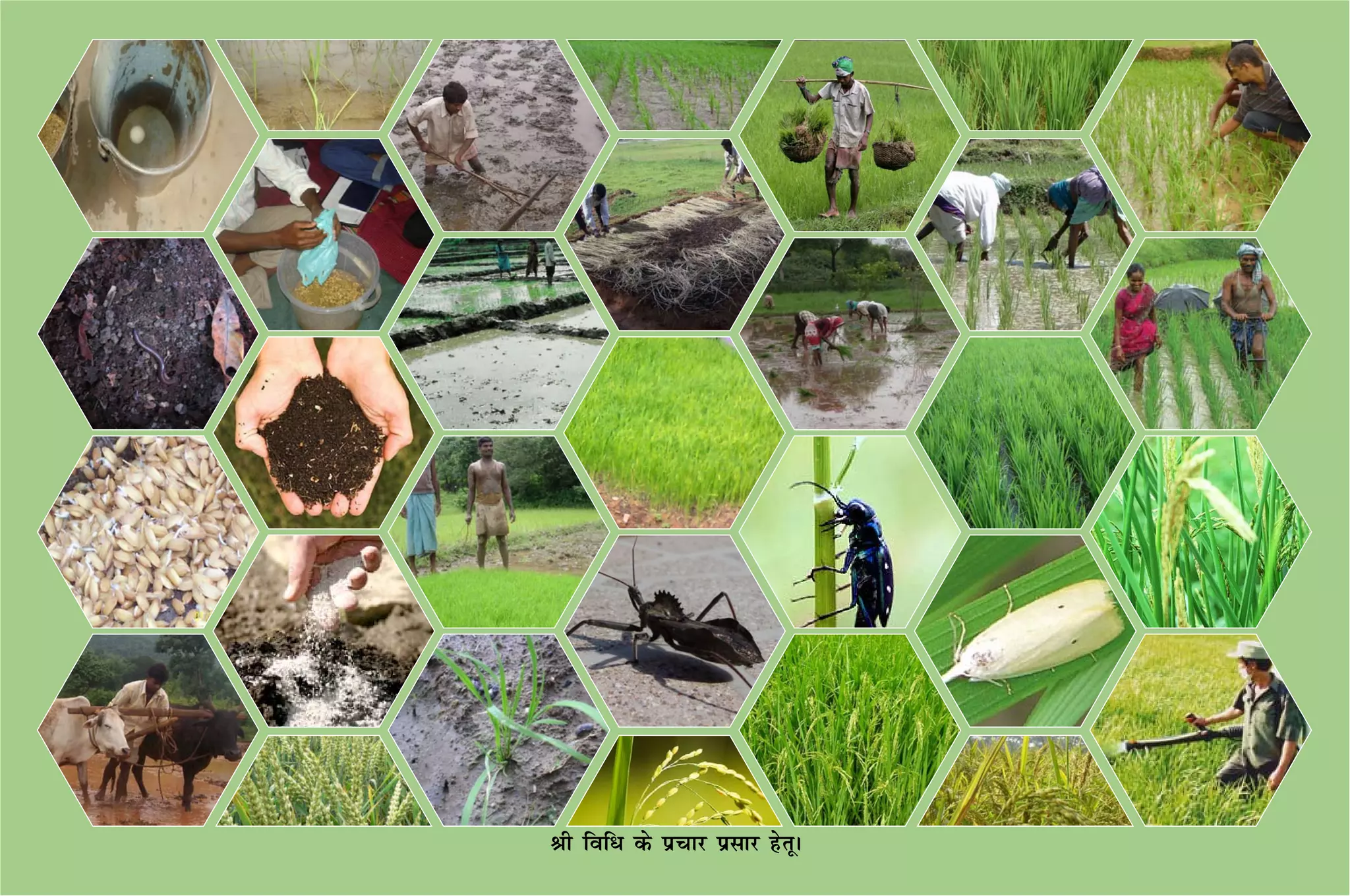 Jh fof/ ds izpkj izlkj gsrwA
 