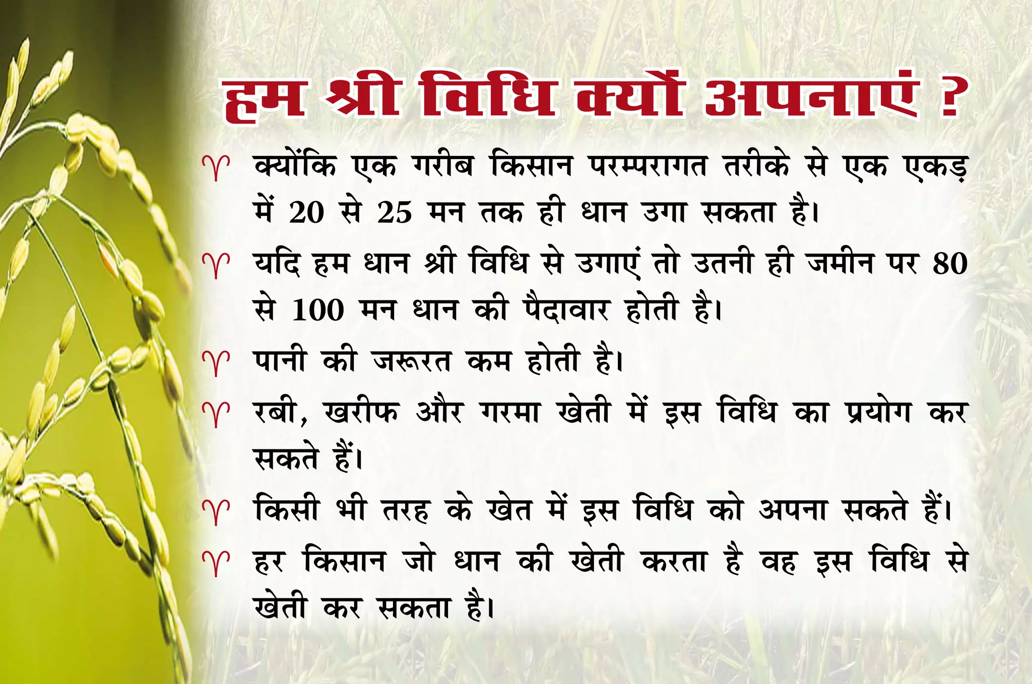 ge Jh fof/k D;ksa viuk,a 
   D;ksafd ,d xjhc fdlku ijEijkxr rjhds ls ,d ,dM+
    esa 20 ls 25 eu rd gh /ku mxk ldrk gSA
   ;fn ge /ku Jh fof/ ls mxk,a rks mruh gh tehu ij 80
    ls 100 eu /ku dh iSnkokj gksrh gSA
   Ikkuh dh t:jr de gksrh gSA
   jch] [kjhiQ vkSj xjek [ksrh esa bl fof/ dk iz;ksx dj
    ldrs gSaA
   fdlh Hkh rjg ds [ksr esa bl fof/ dks viuk ldrs gSaA
   gj fdlku tks /ku dh [ksrh djrk gS og bl fof/ ls
    [ksrh dj ldrk gSA
 