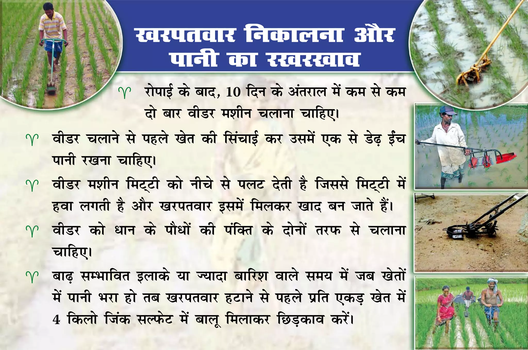 [kjirokj fudkyuk vkSj
                      ikuh dk j[kj[kko
                     jksikbZ ds ckn] 10 fnu ds varjky esa de ls de
                      nks ckj ohMj e'khu pykuk pkfg,A
   ohMj pykus ls igys [ksr dh flapkbZ dj mlesa ,d ls Ms<+ bZap
    ikuh j[kuk pkfg,A
   ohMj e'khu feV~Vh dks uhps ls iyV nsrh gS ftlls feV~Vh esa
    gok yxrh gS vkSj [kjirokj blesa feydj [kkn cu tkrs gSaA
   ohMj dks /ku ds ikS/ksa dh iafDRk ds nksuksa rjiQ ls pykuk
    pkfg,A
   Ckk<+ lEHkkfor bykds ;k T;knk ckfj'k okys le; esa tc [ksrksa
    esa ikuh Hkjk gks rc [kjirokj gVkus ls igys izfr ,dM+ [ksr esa
    4 fdyks ftad lYiQsV esa ckyw feykdj fNM+dko djsaA
 