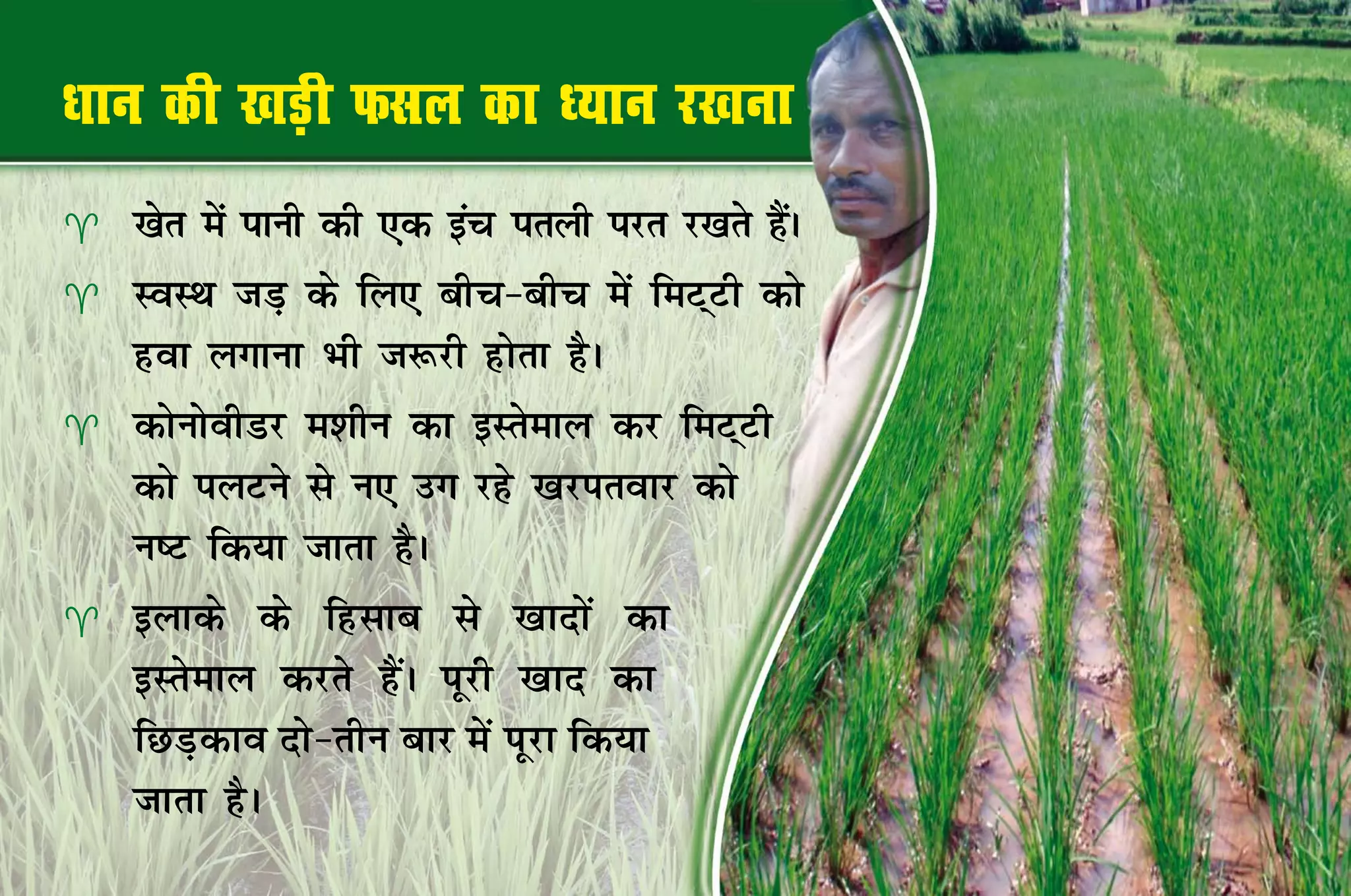 /kku dh [kM+ h Qly dk /;ku j[kuk
   [ksr esa ikuh dh ,d bap iryh ijr j[krs gSA
                                             a
   LoLFk tM+ ds fy, chp&chp esa feV~Vh dks
    gok yxkuk Hkh t:jh gksrk gSA
   dksuksohMj e'khu dk bLrseky dj feV~Vh
    dks iyVus ls u, mx jgs [kjirokj dks
    u"V fd;k tkrk gSA
   bykds ds fglkc ls [kknksa dk
    bLrseky djrs gSaA iwjh [kkn dk
    fNM+dko nks&rhu ckj esa iwjk fd;k
    tkrk gSA
 