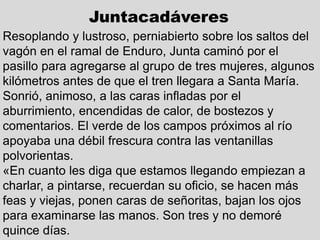 Resoplando y lustroso, perniabierto sobre los saltos del
vagón en el ramal de Enduro, Junta caminó por el
pasillo para agregarse al grupo de tres mujeres, algunos
kilómetros antes de que el tren llegara a Santa María.
Sonrió, animoso, a las caras infladas por el
aburrimiento, encendidas de calor, de bostezos y
comentarios. El verde de los campos próximos al río
apoyaba una débil frescura contra las ventanillas
polvorientas.
«En cuanto les diga que estamos llegando empiezan a
charlar, a pintarse, recuerdan su oficio, se hacen más
feas y viejas, ponen caras de señoritas, bajan los ojos
para examinarse las manos. Son tres y no demoré
quince días.
Juntacadáveres
 