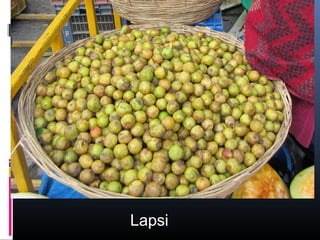 Lapsi
 
