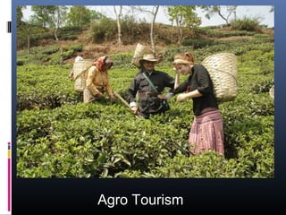 Agro Tourism
 