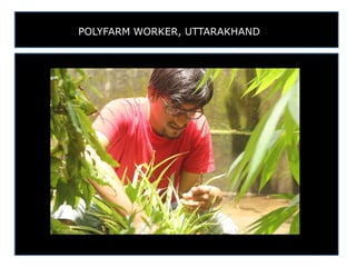 POLYFARM WORKER, UTTARAKHAND
 