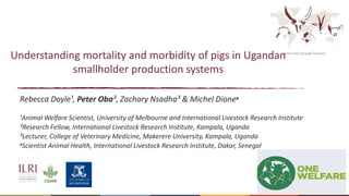 Better lives through livestock
Understanding mortality and morbidity of pigs in Ugandan
smallholder production systems
Rebecca Doyle¹, Peter Oba², Zachary Nsadha³ & Michel Dione4
¹Animal Welfare Scientist, University of Melbourne and International Livestock Research Institute
²Research Fellow, International Livestock Research Institute, Kampala, Uganda
³Lecturer, College of Veterinary Medicine, Makerere University, Kampala, Uganda
4Scientist Animal Health, International Livestock Research Institute, Dakar, Senegal
 