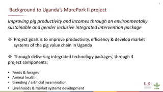 Understanding mortality and morbidity of pigs in Ugandan smallholder production systems