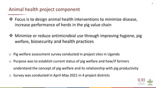 Understanding mortality and morbidity of pigs in Ugandan smallholder production systems