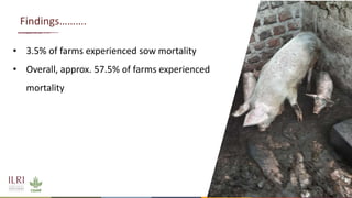 Understanding mortality and morbidity of pigs in Ugandan smallholder production systems