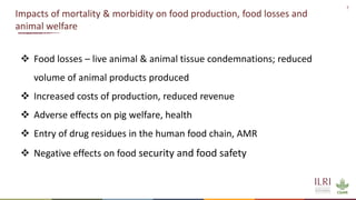 Understanding mortality and morbidity of pigs in Ugandan smallholder production systems