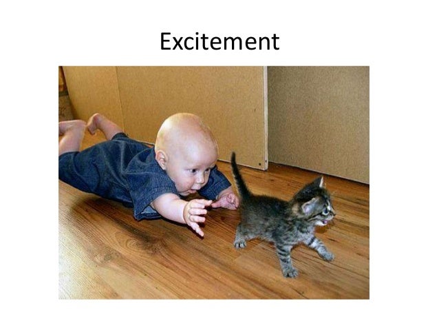 One word essays