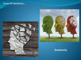 Loss of memory…
Amnesia
 