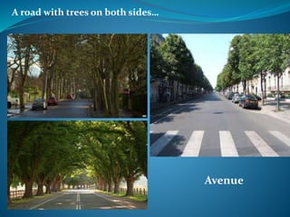 A road with trees on both sides…
Avenue
 