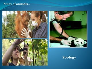 Study of animals…
Zoology
 
