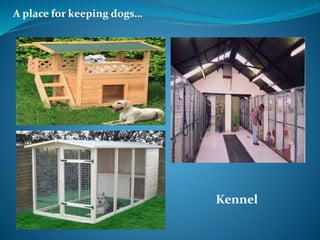A place for keeping dogs…
Kennel
 