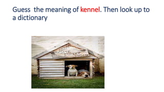Understanding One- word Substitutes | PPTX