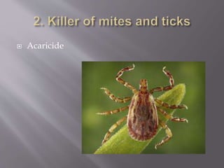  Acaricide
 
