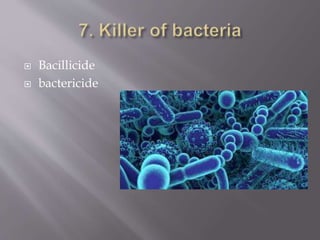  Bacillicide
 bactericide
 