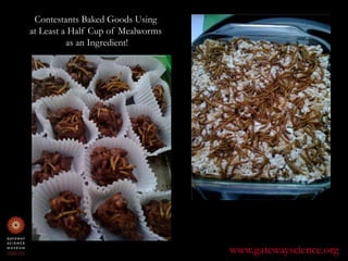 Contestants Baked Goods Using at Least a Half Cup of Mealworms as an Ingredient! www.gatewayscience.org