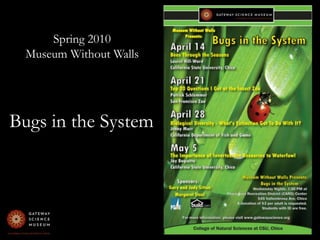Spring 2010 Museum Without WallsBugs in the System