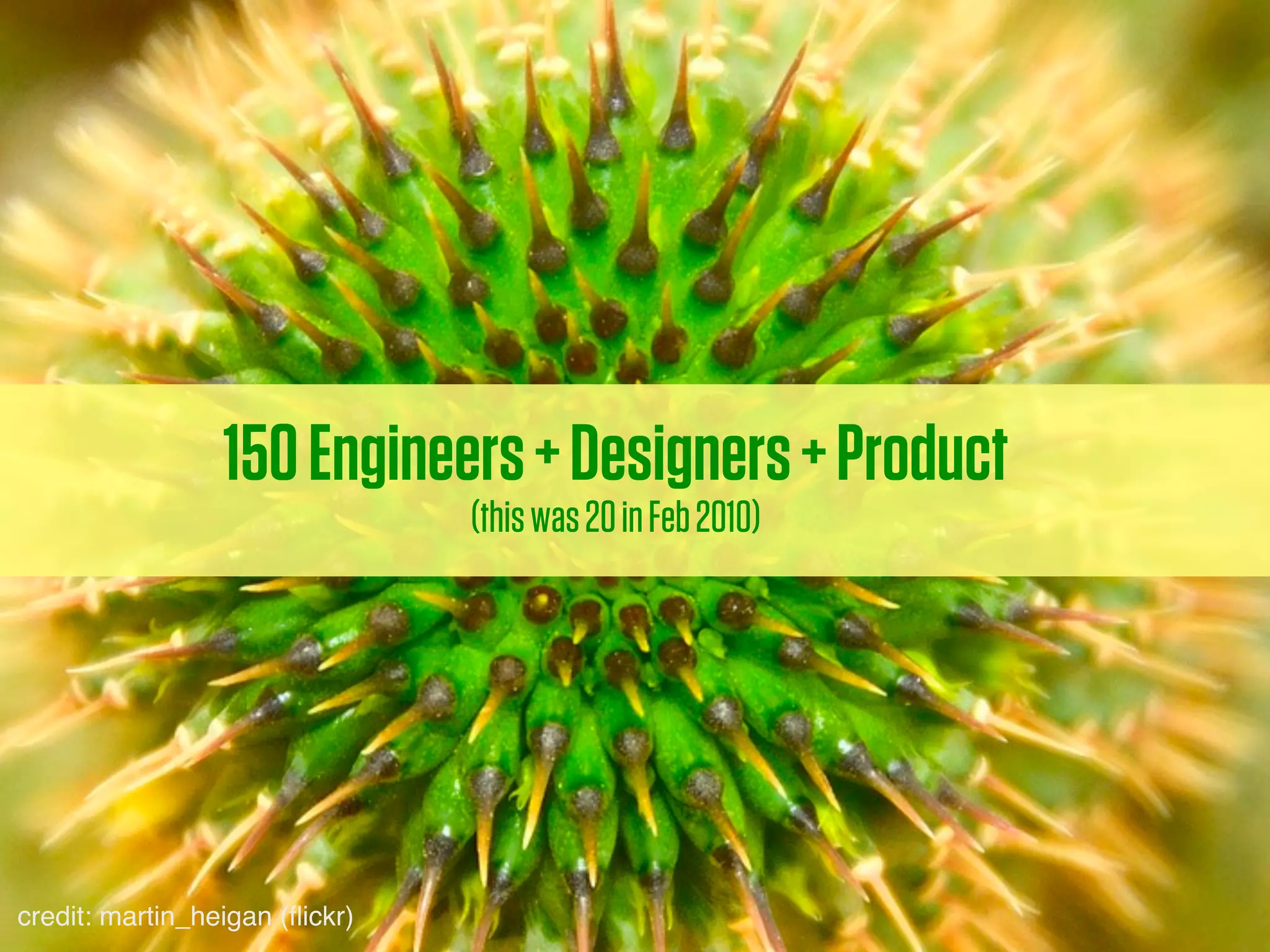 150 Engineers + Designers + Product
                                (this was 20 in Feb 2010)




credit: martin_heigan (ﬂickr)
 