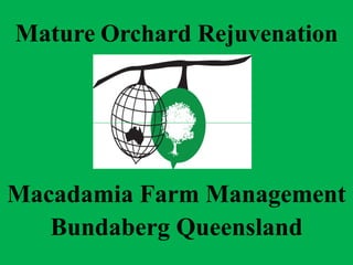 Mature Orchard Rejuvenation




Macadamia Farm Management
   Bundaberg Queensland
 