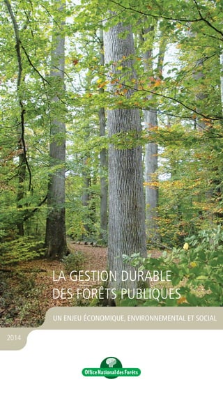 ••• TROISIÈME FORÊT D’EUROPE
• 28 % du territoire métropolitain est couvert
de forêt (soit 16 millions d’hectares*)
• 25 % des forêts sont publiques, 75 % privées
• Plus de 5 millions d’hectares sont certiﬁés
PEFC
••• UNE FORÊT PRINCIPALEMENT
FEUILLUE
• 30 % des boisements français sont constitués
de résineux et 70 % de feuillus
• 24 % des surfaces sont occupées par le chêne
••• LA PRODUCTION DE BOIS
• 39,6 millions de m3
de bois ont été récoltés
en 2011 dont :
- 21 Mm3 de bois d’œuvre
- 6 Mm3
de bois énergie
- 12,6 Mm3
de bois d’industrie
• 40 % du bois d’œuvre exploité est fourni
par l’ONF
• Plus de 400 000 emplois sont générés
par la ﬁlière forêt-bois
••• LA FORÊT CONTRE L’EFFET
DE SERRE
• 80 millions de tonnes de CO2 nettes
sont séquestrées chaque année par les forêts
*Source : La forêt en chiffres et en cartes – IGN 2013
LA FORÊT
FRANÇAISE
UN ENJEU ÉCONOMIQUE, ENVIRONNEMENTAL ET SOCIAL
2014
www.onf.fr
10-4-4 / Promouvoir la gestion durable de la forêt / pefc-france.org
Direction de la communication
2, avenue de Saint-Mandé
75570 Paris Cedex 12
Juin 2014
Graphisme V. Charlanne. Crédit photo couverture : ONF/P. Lacroix.
Impression ONF
Champ de certification « cœur de métier » : ISO 9001 et 14001
LA GESTION DURABLE
DES FORÊTS PUBLIQUES
Couv rabat_juin-2014 10/06/14 23:03 Page1
 