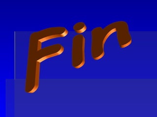Fin 
