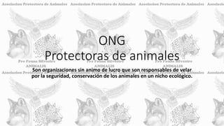 ONG
Protectoras de animales
Son organizaciones sin animo de lucro que son responsables de velar
por la seguridad, conservación de los animales en un nicho ecológico.
 