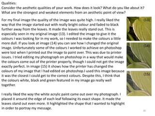 Qualities: 
Consider the aesthetic qualities of your work. How does it look? What do you like about it? 
What are the strongest and weakest elements from an aesthetic point of view? 
For my final image the quality of the image was quite high. I really liked the 
way that the image started out with really bright colour and faded to black 
further away from the leaves. It made the leaves really stand out. This is 
especially seen in my original image (13). I edited the image to give it the 
colours I was looking for in my work, so I needed to make the colours a little 
more dull. If you look at image (14) you can see how I changed the original 
image. Unfortunately some of the colours I worked to achieve on photoshop 
were lost when I printed out the image to paint over. This was due to printer 
issues. I tried editing my photograph on photoshop in a way that would make 
the colours come out of the printer properly, though I could not get the image 
exactly perfect. In image (15) it shows how the printer has changed the 
colours of my image that I had edited on photoshop.I used this image because 
it was the closest I could get to the correct colours. Despite this, I think that 
the colours white, black and green featured in my image go really well 
together. 
30 
I really liked the way the white acrylic paint came out over my photograph. I 
placed it around the edge of each leaf following its exact shape. It made the 
leaves stand out even more. It highlighted the shape that I wanted to highlight 
in order to portray my message. 
(13) 
(14) 
(15) 
 