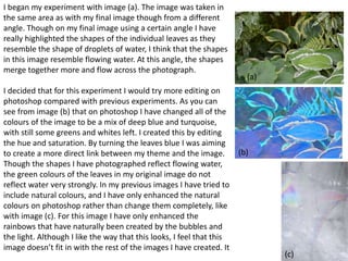 28 
I began my experiment with image (a). The image was taken in 
the same area as with my final image though from a different 
angle. Though on my final image using a certain angle I have 
really highlighted the shapes of the individual leaves as they 
resemble the shape of droplets of water, I think that the shapes 
in this image resemble flowing water. At this angle, the shapes 
merge together more and flow across the photograph. 
I decided that for this experiment I would try more editing on 
photoshop compared with previous experiments. As you can 
see from image (b) that on photoshop I have changed all of the 
colours of the image to be a mix of deep blue and turquoise, 
with still some greens and whites left. I created this by editing 
the hue and saturation. By turning the leaves blue I was aiming 
to create a more direct link between my theme and the image. 
Though the shapes I have photographed reflect flowing water, 
the green colours of the leaves in my original image do not 
reflect water very strongly. In my previous images I have tried to 
include natural colours, and I have only enhanced the natural 
colours on photoshop rather than change them completely, like 
with image (c). For this image I have only enhanced the 
rainbows that have naturally been created by the bubbles and 
the light. Although I like the way that this looks, I feel that this 
image doesn’t fit in with the rest of the images I have created. It 
(a) 
(b) 
(c) 
 