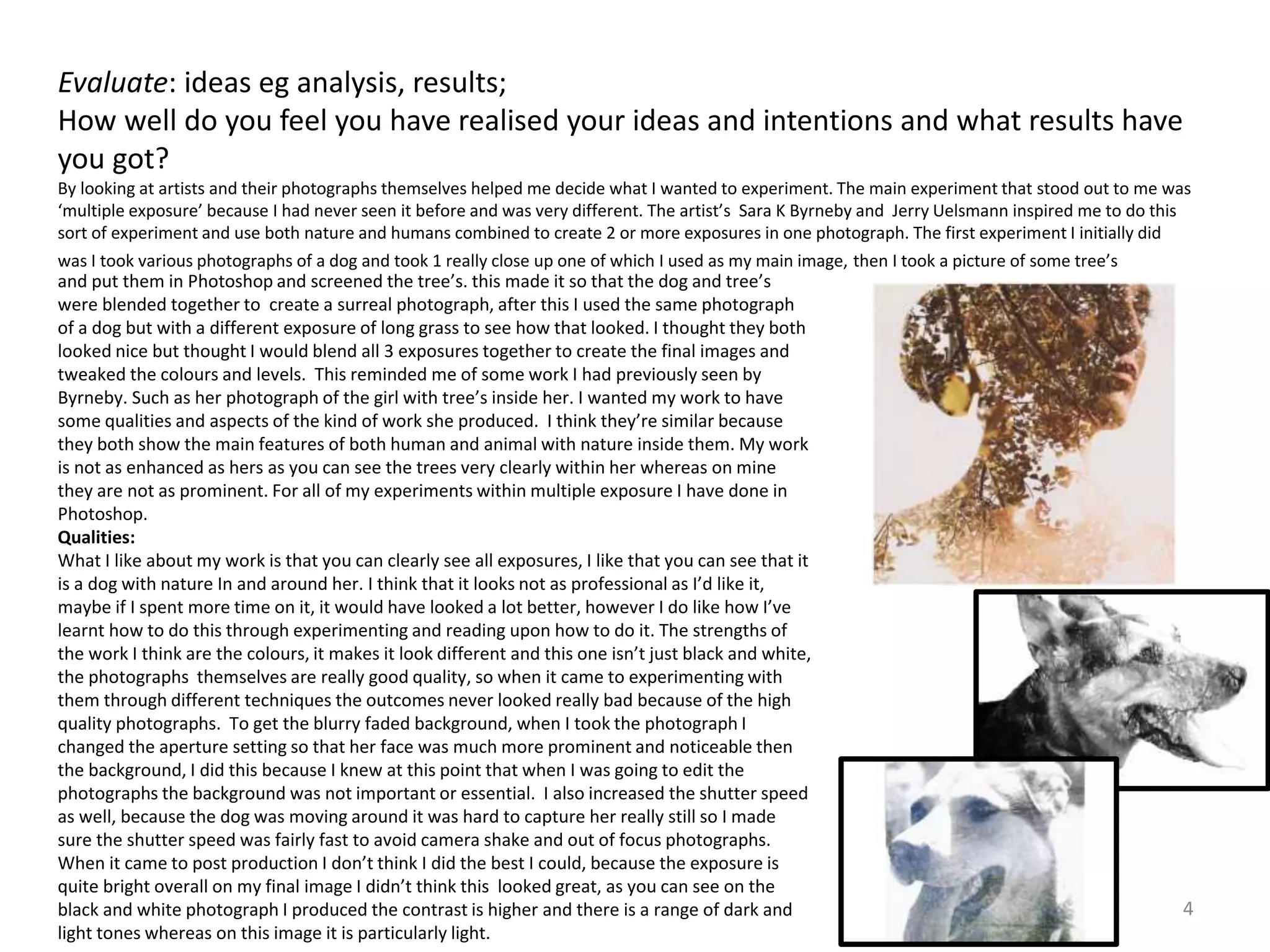 Evaluate: ideas eg analysis, results; 
How well do you feel you have realised your ideas and intentions and what results have 
you got? 
By looking at artists and their photographs themselves helped me decide what I wanted to experiment. The main experiment that stood out to me was 
‘multiple exposure’ because I had never seen it before and was very different. The artist’s Sara K Byrneby and Jerry Uelsmann inspired me to do this 
sort of experiment and use both nature and humans combined to create 2 or more exposures in one photograph. The first experiment I initially did 
was I took various photographs of a dog and took 1 really close up one of which I used as my main image, then I took a picture of some tree’s 
and put them in Photoshop and screened the tree’s. this made it so that the dog and tree’s 
were blended together to create a surreal photograph, after this I used the same photograph 
of a dog but with a different exposure of long grass to see how that looked. I thought they both 
looked nice but thought I would blend all 3 exposures together to create the final images and 
tweaked the colours and levels. This reminded me of some work I had previously seen by 
Byrneby. Such as her photograph of the girl with tree’s inside her. I wanted my work to have 
some qualities and aspects of the kind of work she produced. I think they’re similar because 
they both show the main features of both human and animal with nature inside them. My work 
is not as enhanced as hers as you can see the trees very clearly within her whereas on mine 
they are not as prominent. For all of my experiments within multiple exposure I have done in 
Photoshop. 
Qualities: 
What I like about my work is that you can clearly see all exposures, I like that you can see that it 
is a dog with nature In and around her. I think that it looks not as professional as I’d like it, 
maybe if I spent more time on it, it would have looked a lot better, however I do like how I’ve 
learnt how to do this through experimenting and reading upon how to do it. The strengths of 
the work I think are the colours, it makes it look different and this one isn’t just black and white, 
the photographs themselves are really good quality, so when it came to experimenting with 
them through different techniques the outcomes never looked really bad because of the high 
quality photographs. To get the blurry faded background, when I took the photograph I 
changed the aperture setting so that her face was much more prominent and noticeable then 
the background, I did this because I knew at this point that when I was going to edit the 
photographs the background was not important or essential. I also increased the shutter speed 
as well, because the dog was moving around it was hard to capture her really still so I made 
sure the shutter speed was fairly fast to avoid camera shake and out of focus photographs. 
When it came to post production I don’t think I did the best I could, because the exposure is 
quite bright overall on my final image I didn’t think this looked great, as you can see on the 
black and white photograph I produced the contrast is higher and there is a range of dark and 
light tones whereas on this image it is particularly light. 
4 
 