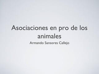 Asociaciones en pro de los
animales
Armando Sansores Callejo
 