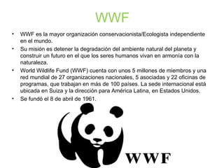 WWF
• WWF es la mayor organización conservacionista/Ecologista independiente
en el mundo.
• Su misión es detener la degradación del ambiente natural del planeta y
construir un futuro en el que los seres humanos vivan en armonía con la
naturaleza.
• World Wildlife Fund (WWF) cuenta con unos 5 millones de miembros y una
red mundial de 27 organizaciones nacionales, 5 asociadas y 22 oficinas de
programas, que trabajan en más de 100 países. La sede internacional está
ubicada en Suiza y la dirección para América Latina, en Estados Unidos.
• Se fundó el 8 de abril de 1961.
 