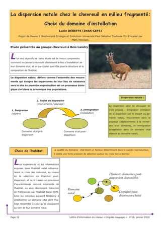 WHPHQWV R O¶HVSqFH HVW FKDVVpH HVW GH              /H SUpOqYHPHQW QDWLRQDO HVW GH 
                                                                                                        /H SUpOqYHPHQW QDWLRQDO HVW GH 
 FHUI DX[  KD ERLVpV                        FKHYUHXLO DX[  KD WRWDX[ HW GH 
                                                                                                        VDQJOLHU DX[  KD WRWDX[ HW GH 
                                                    FKHYUHXLOV DX[  KD ERLVpV
                                                                                                        VDQJOLHUV DX[  KD ERLVpV
'DQV  GpSDUWHPHQWV OHV SUpOqYHPHQWV
GpSDVVHQW  FHUI DX[  KD ERLVpV                 /HV SOXV IRUWHV GHQVLWpV GH SUpOqYH                /HV SOXV IRUWHV GHQVLWpV GH SUpOqYH
O¶,QGUH  