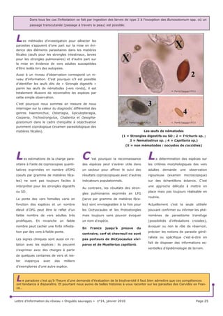 HW          OHV   9RVJHV    