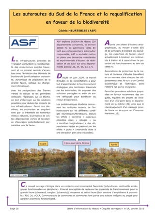 3DJH                                                         /HWWUH G¶LQIRUPDWLRQ GX UpVHDX © 2QJXOpV VDXYDJHV ª Qƒ MDQYLHU 
 