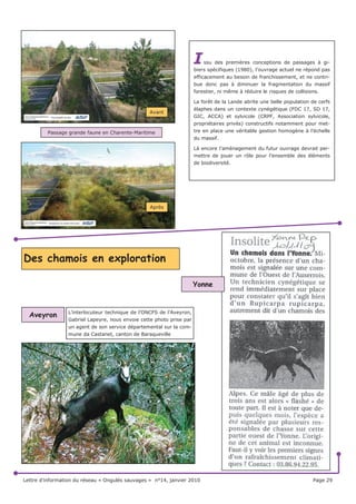 /H PRXIORQ                                          /H FKDPRLV                                  /¶LVDUG




/H WDEOHDX GH FKDVVH QDWLRQDO SRXUVXLW              /H WDEOHDX GH FKDVVH D GLPLQXp GH         /HV SUpOqYHPHQWV VRQW OpJqUHPHQW HQ
QHWWHPHQW VRQ DFFURLVVHPHQW DYHF OD                 0DLV VXU OHV  GpSDUWHPHQWV R O¶HVSq     EDLVVH         