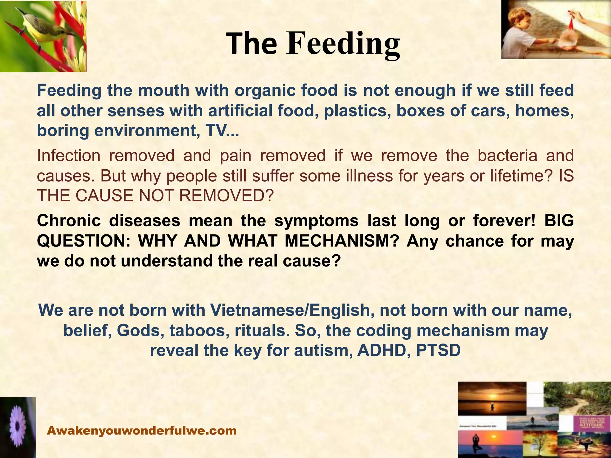 The Feeding
Feeding the mouth with organic food is not enough if we still feed
all other senses with artificial food, plastics, boxes of cars, homes,
boring environment, TV...
Infection removed and pain removed if we remove the bacteria and
causes. But why people still suffer some illness for years or lifetime? IS
THE CAUSE NOT REMOVED?
Chronic diseases mean the symptoms last long or forever! BIG
QUESTION: WHY AND WHAT MECHANISM? Any chance for may
we do not understand the real cause?
We are not born with Vietnamese/English, not born with our name,
belief, Gods, taboos, rituals. So, the coding mechanism may
reveal the key for autism, ADHD, PTSD
Awakenyouwonderfulwe.com
 