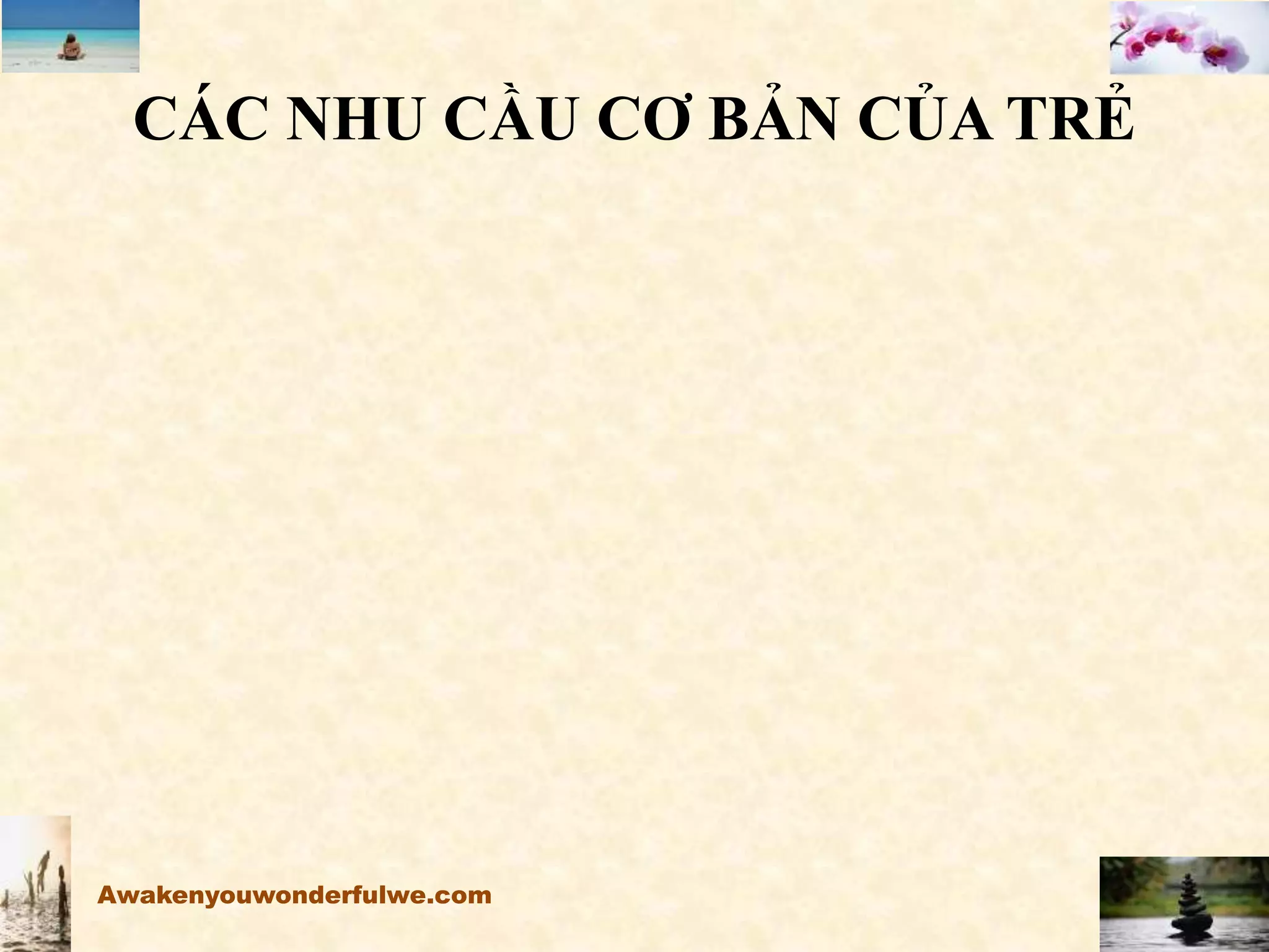 CÁC NHU CẦU CƠ BẢN CỦA TRẺ
Awakenyouwonderfulwe.com
 